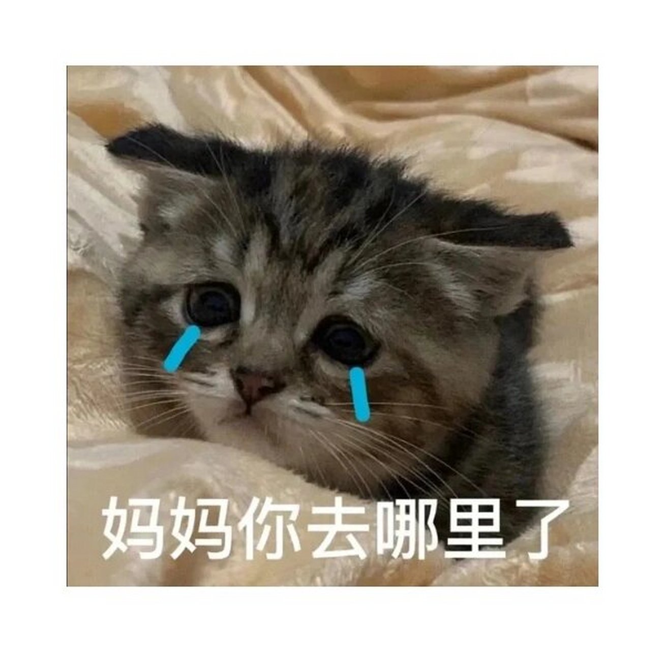 没用小孩儿找妈妈表情包96!