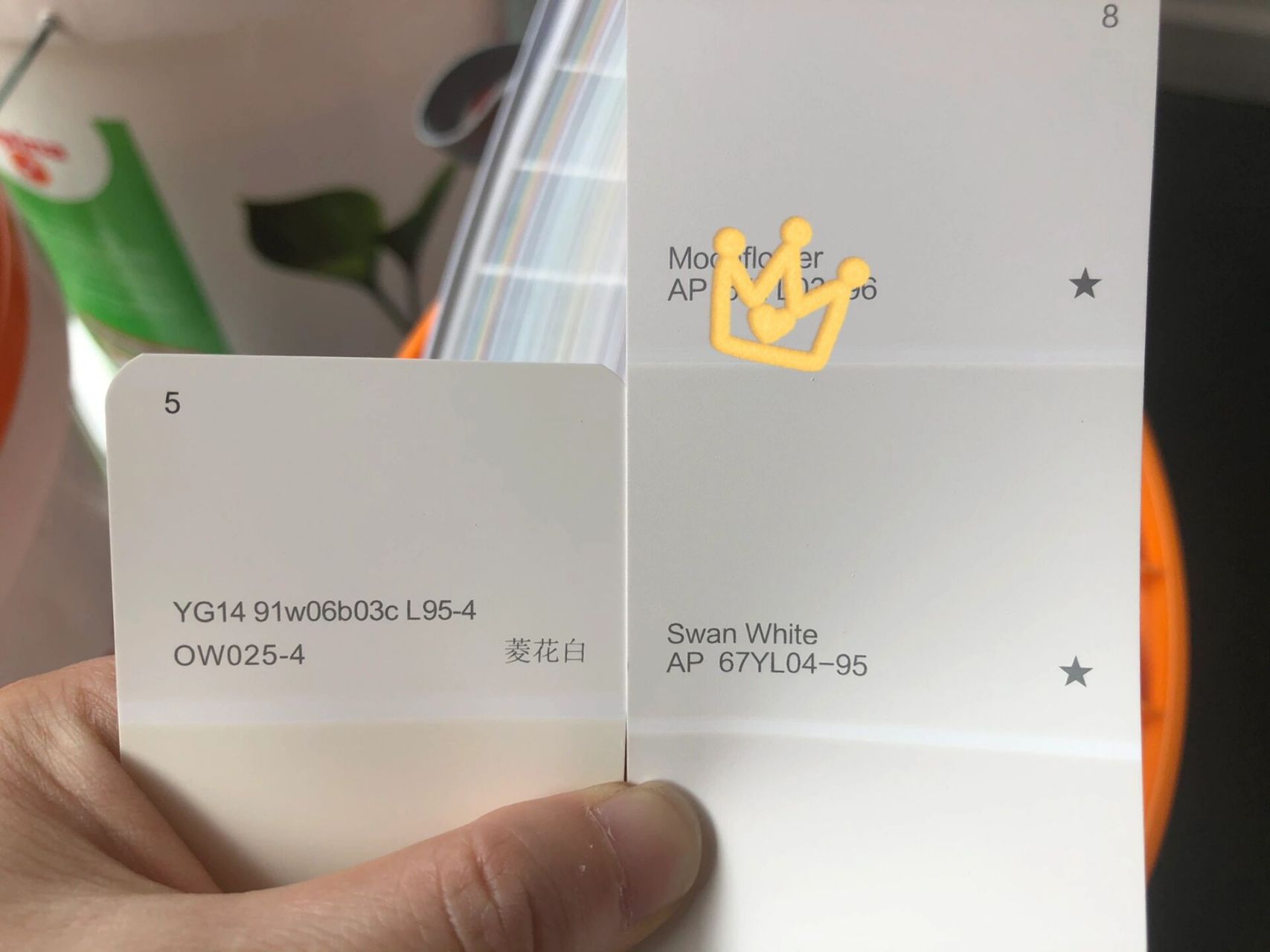 阿尔贝娜菱花白