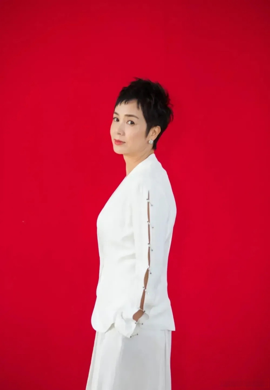 短发的蒋雯丽真美,清爽干练,端庄秀美.一点也看不出快60岁了.