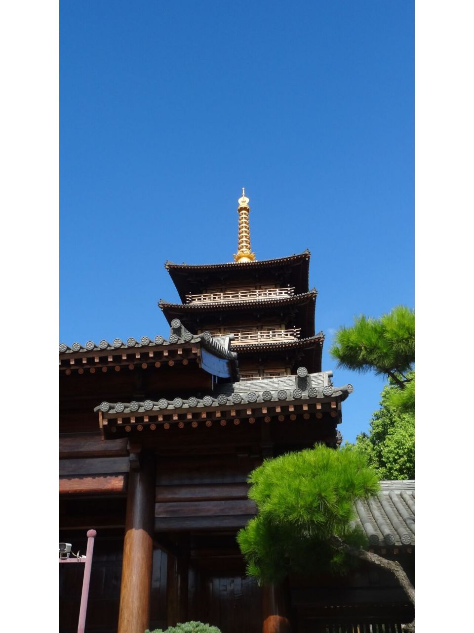宝山寺|晚唐风格宫殿式建筑设计 宝山寺坐落在上海宝山区罗店镇,始建