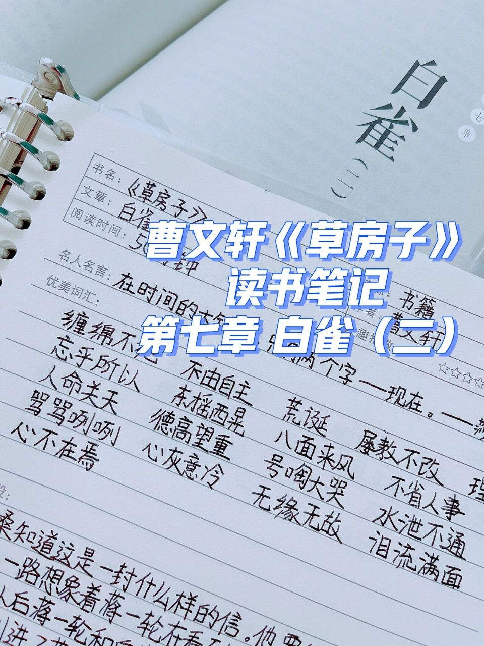 曹文轩《草房子》读书笔记 第七章白雀(二) 更新啦!