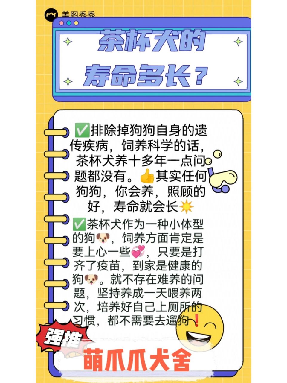 166关于茶杯犬的价格 正常来说,茶杯犬幼犬的价格在0.6-1.