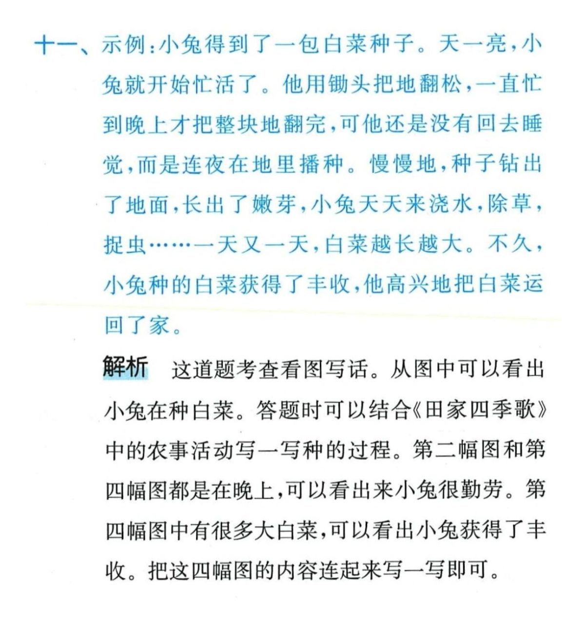 看图写话:小兔种白菜     示例:小兔得到了一包白菜种子.