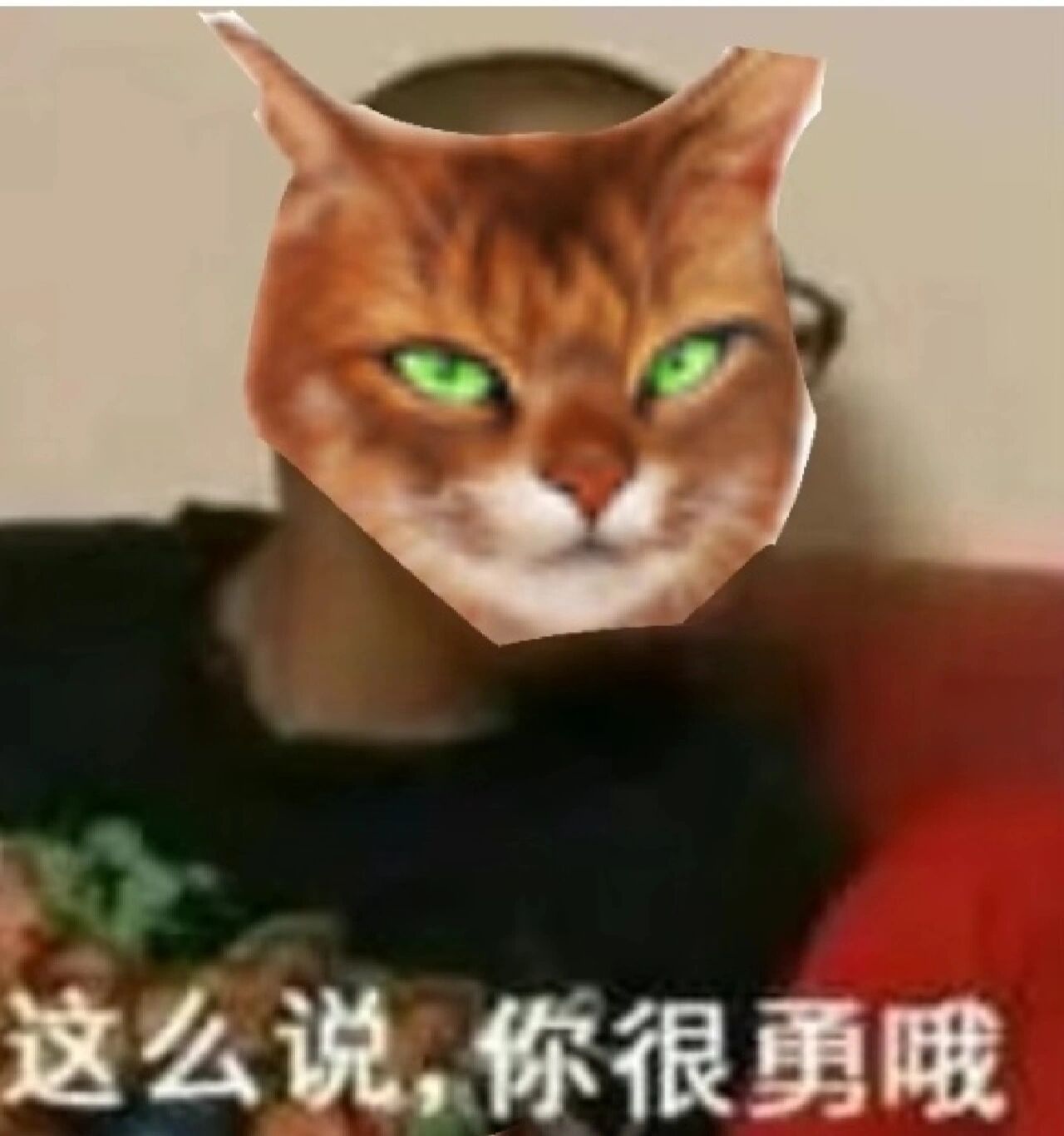 猫武士表情包(7)