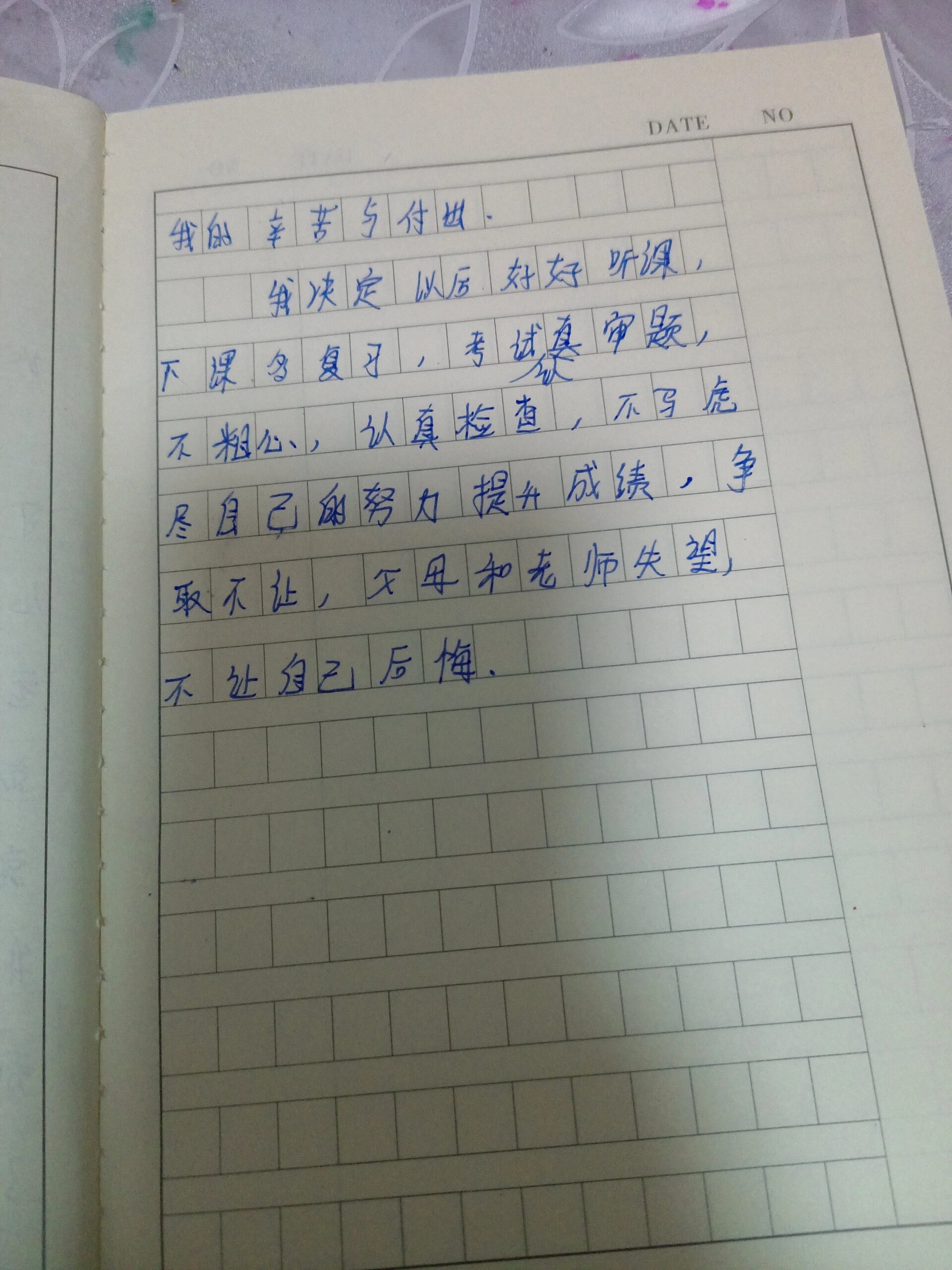 期中考试感想 字写的不太好,请不要喷, 本人是仿写,原作者是芦云