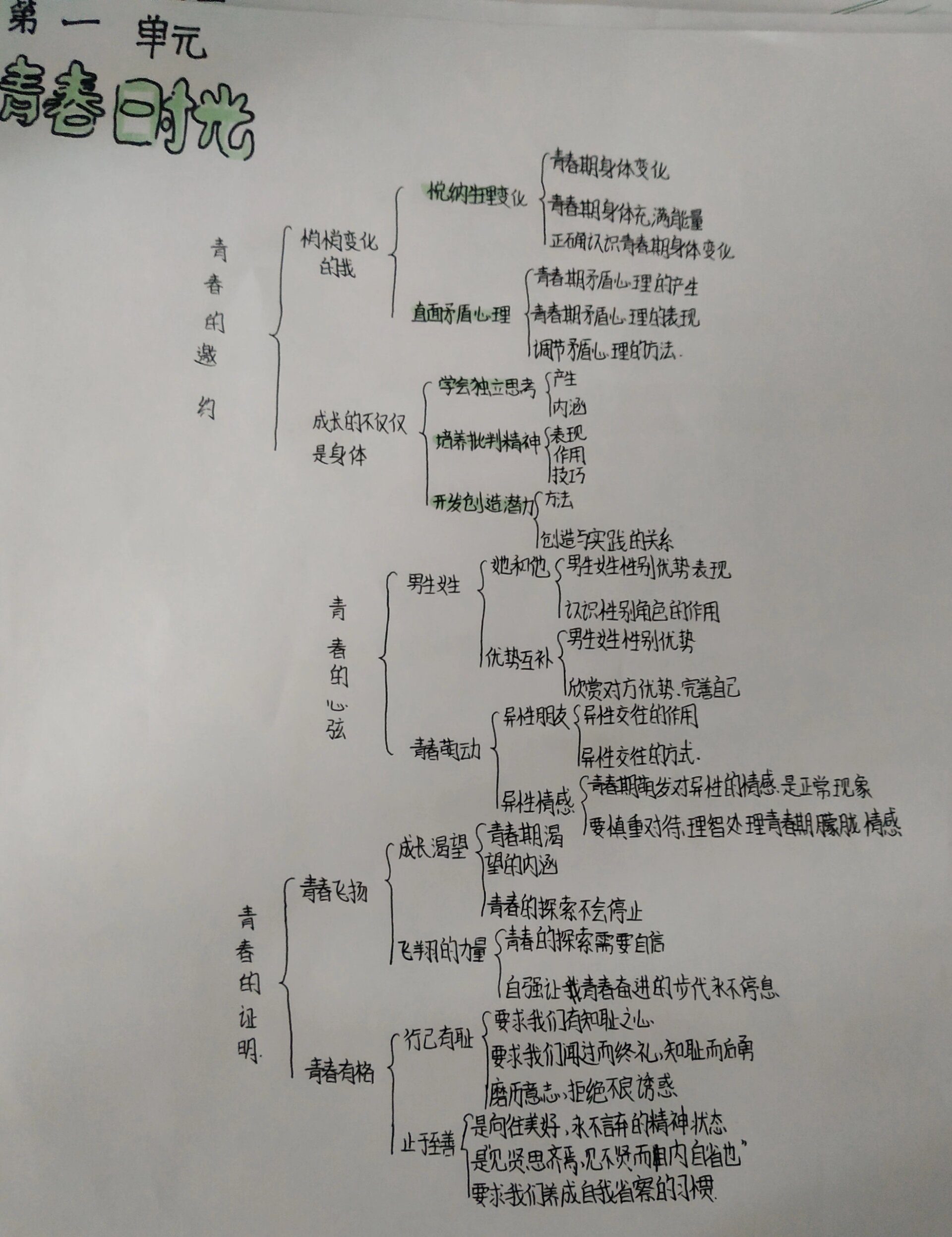 政治思维导图七下三课图片