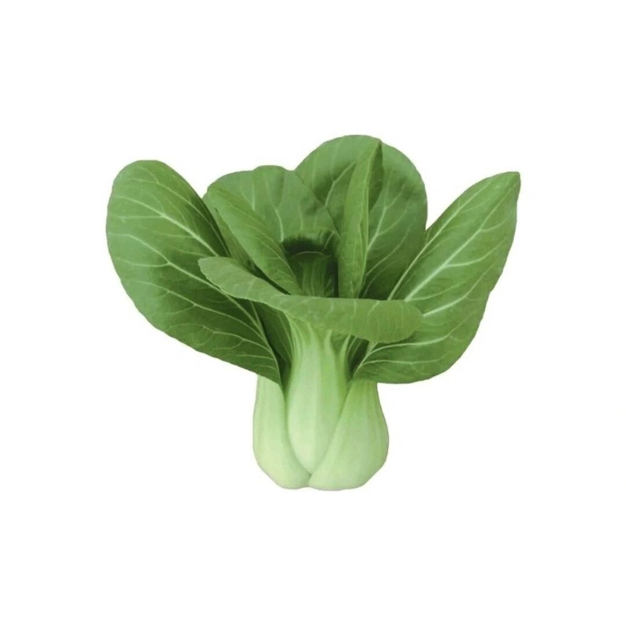 绿色蔬菜头像图片