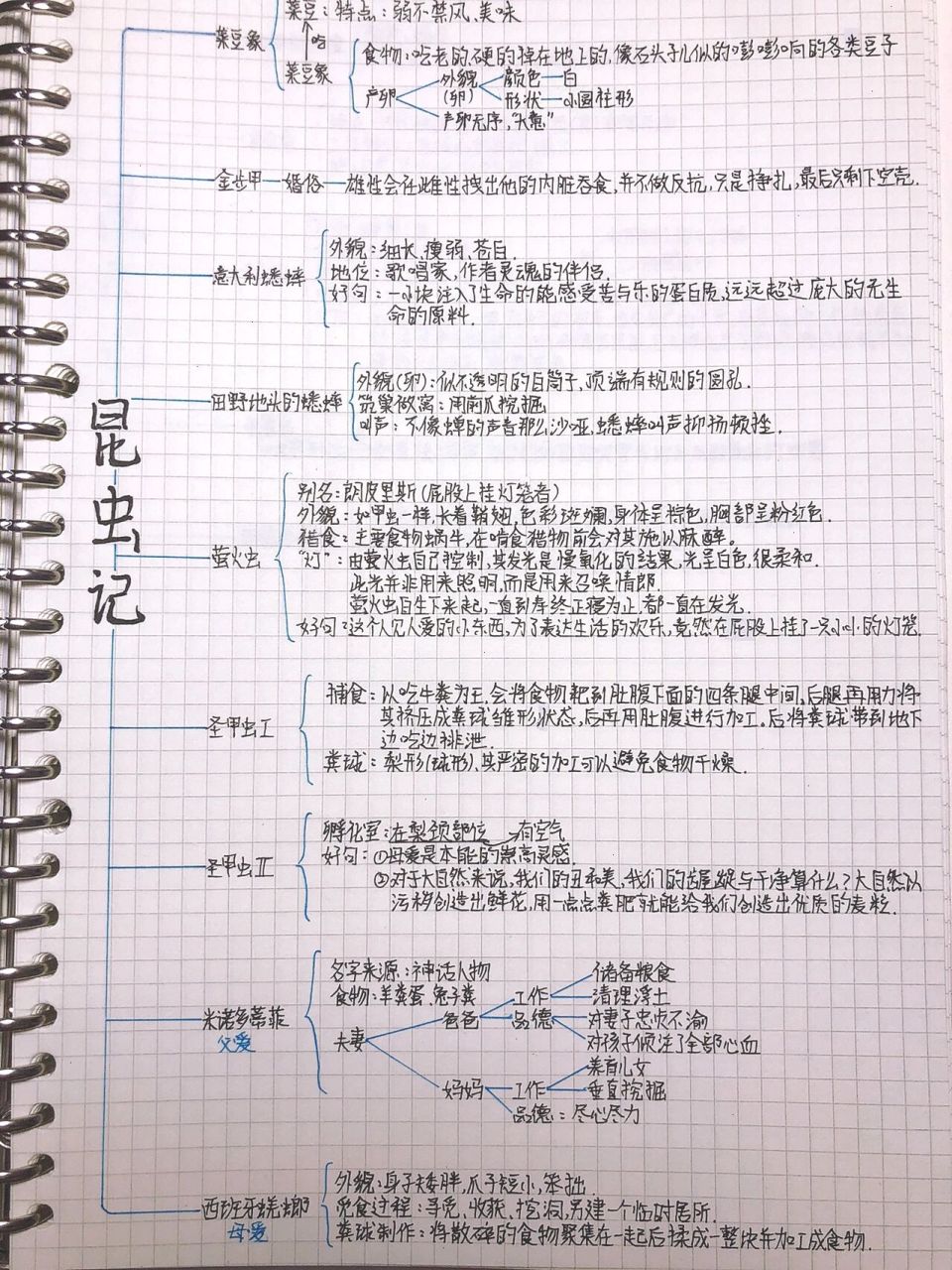 昆虫记思维导图资料图片