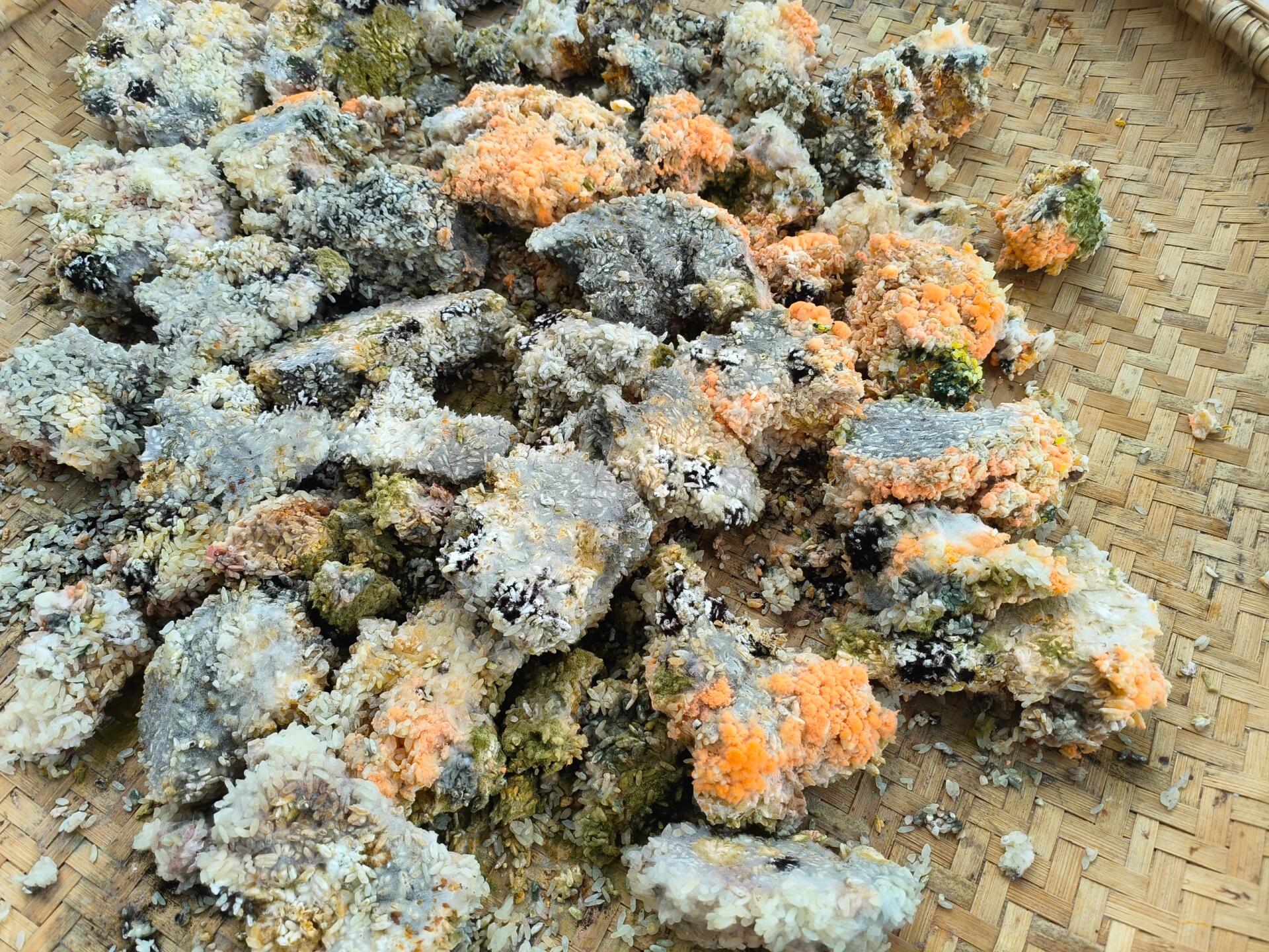 黄曲霉菌之老妈不听劝怎么办 今天才知道这花花绿绿的玩意是豆豉粿提