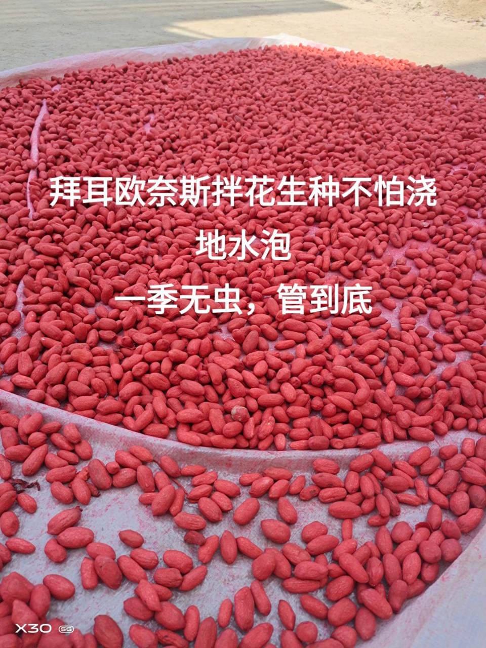 噻虫胺悬浮种衣剂图片