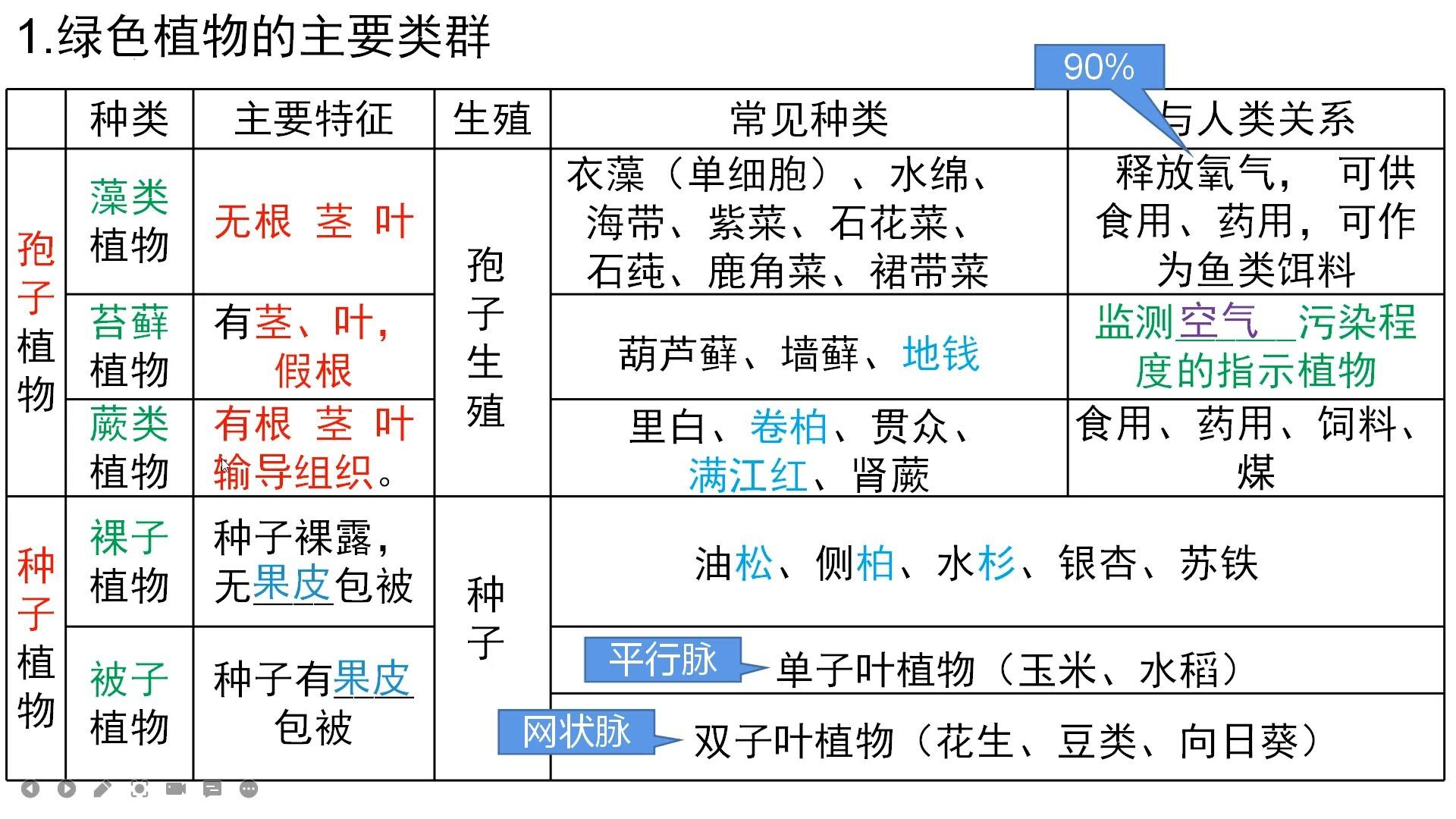 公园常见植物及类群图片