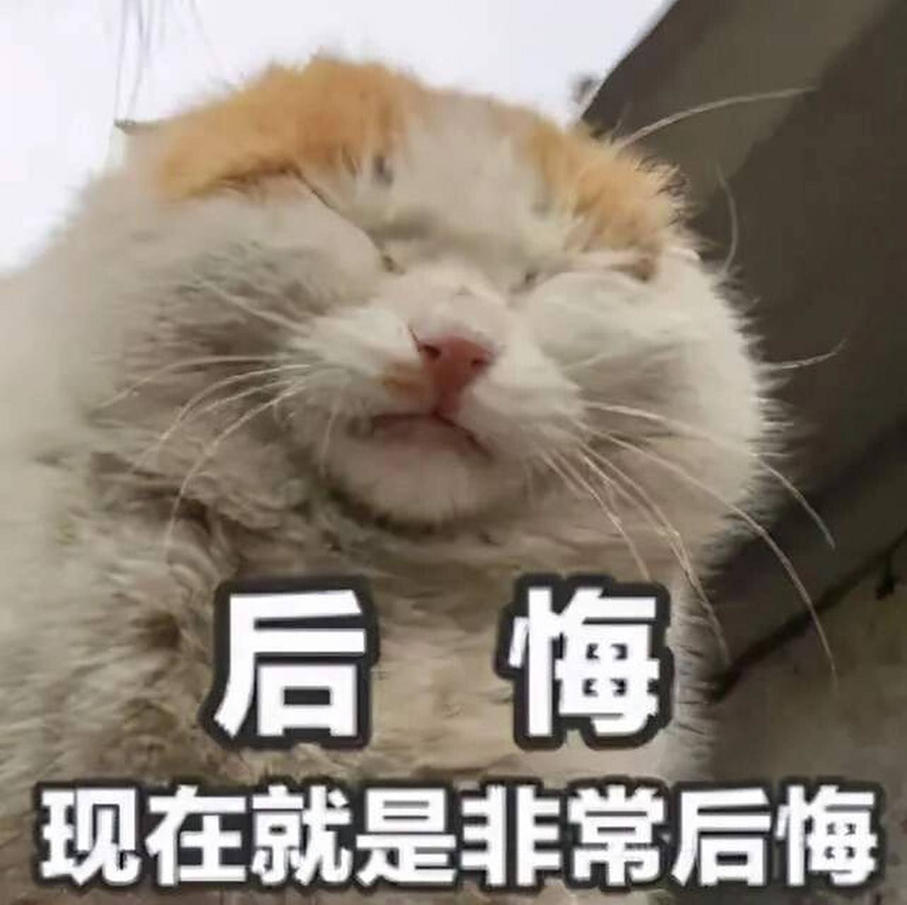 今天把生理期的女朋友惹哭了 我真该死啊 早上吵架,打电话没说几句她