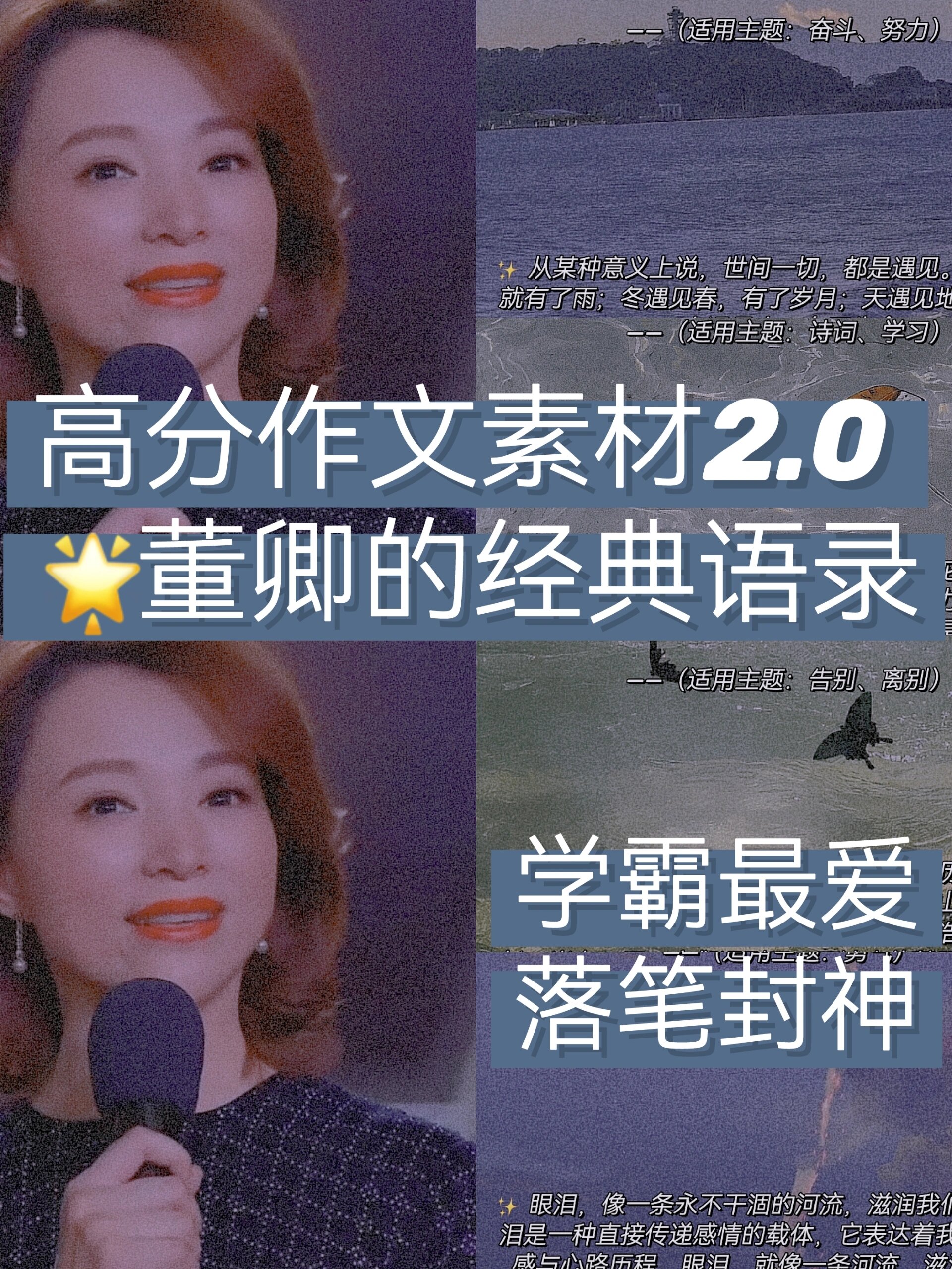 9797高分作文素材|董卿的经典语录  大家好,我是阿南.