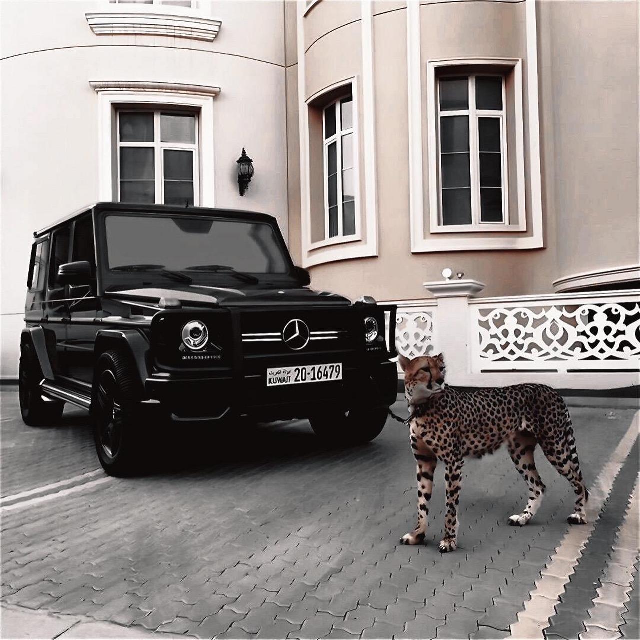 奔驰大g.这才是帅气的汽车头像