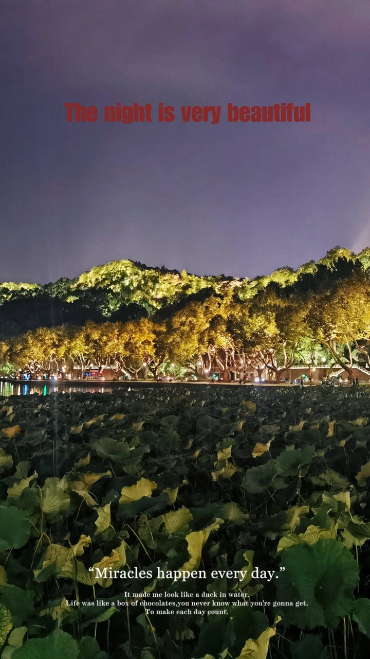 西湖夜色 #发一张照片记录今天# #城市夜景# 西湖南山路·白堤