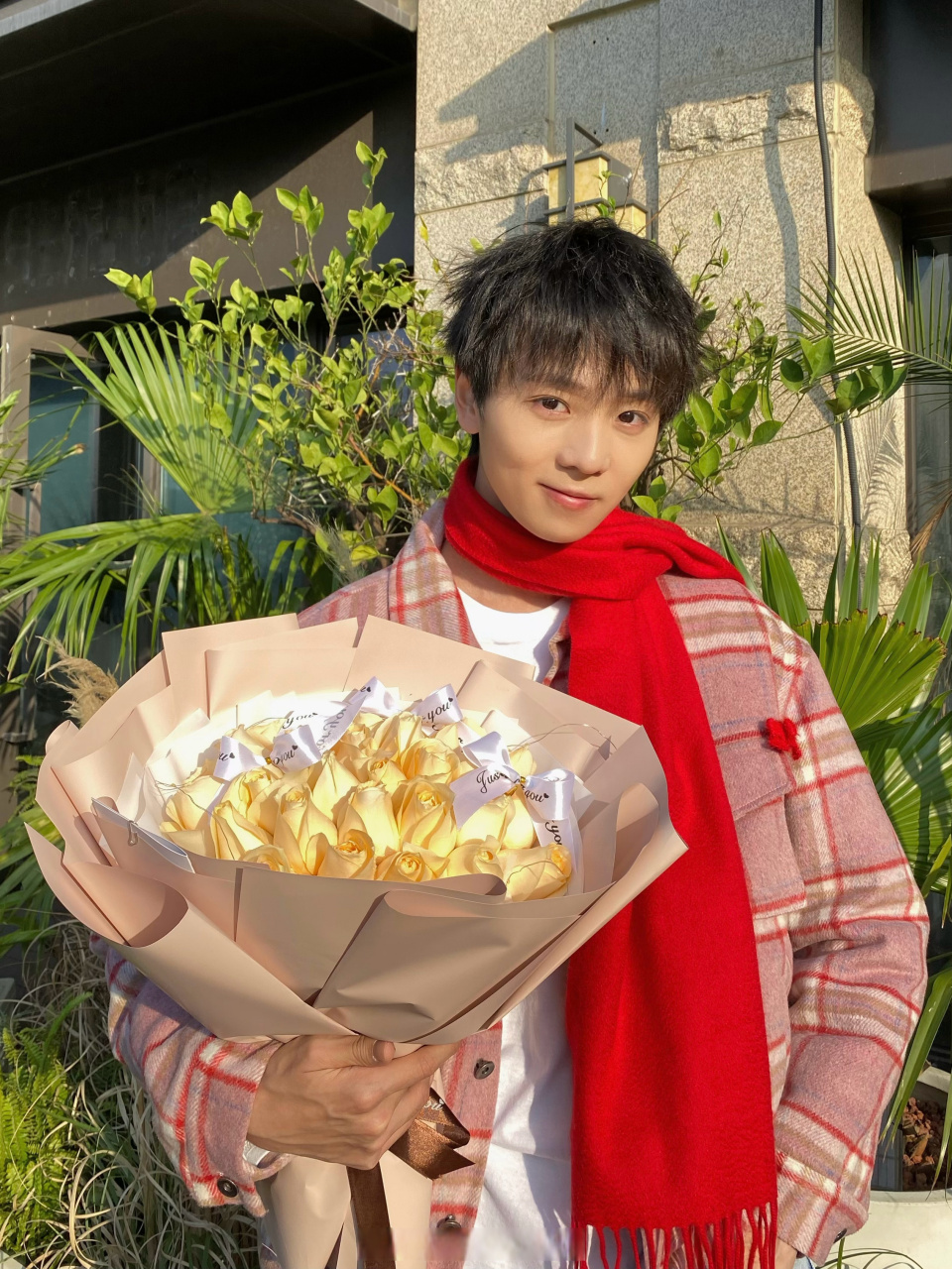 苏泽林  你的节日限定 苏泽林情人节