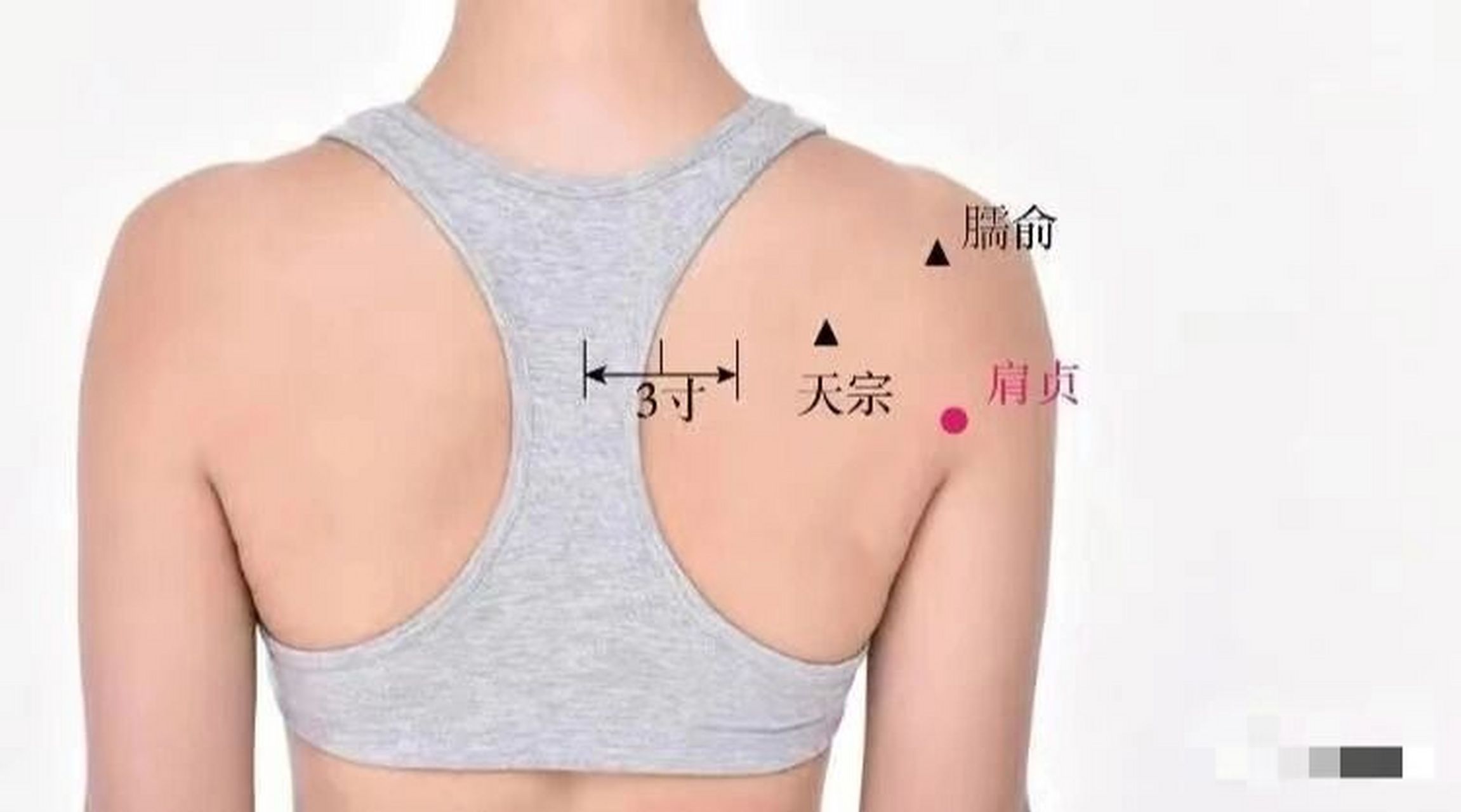 位于肩胛区,肩关节后下方,腋后纹头直上1寸.