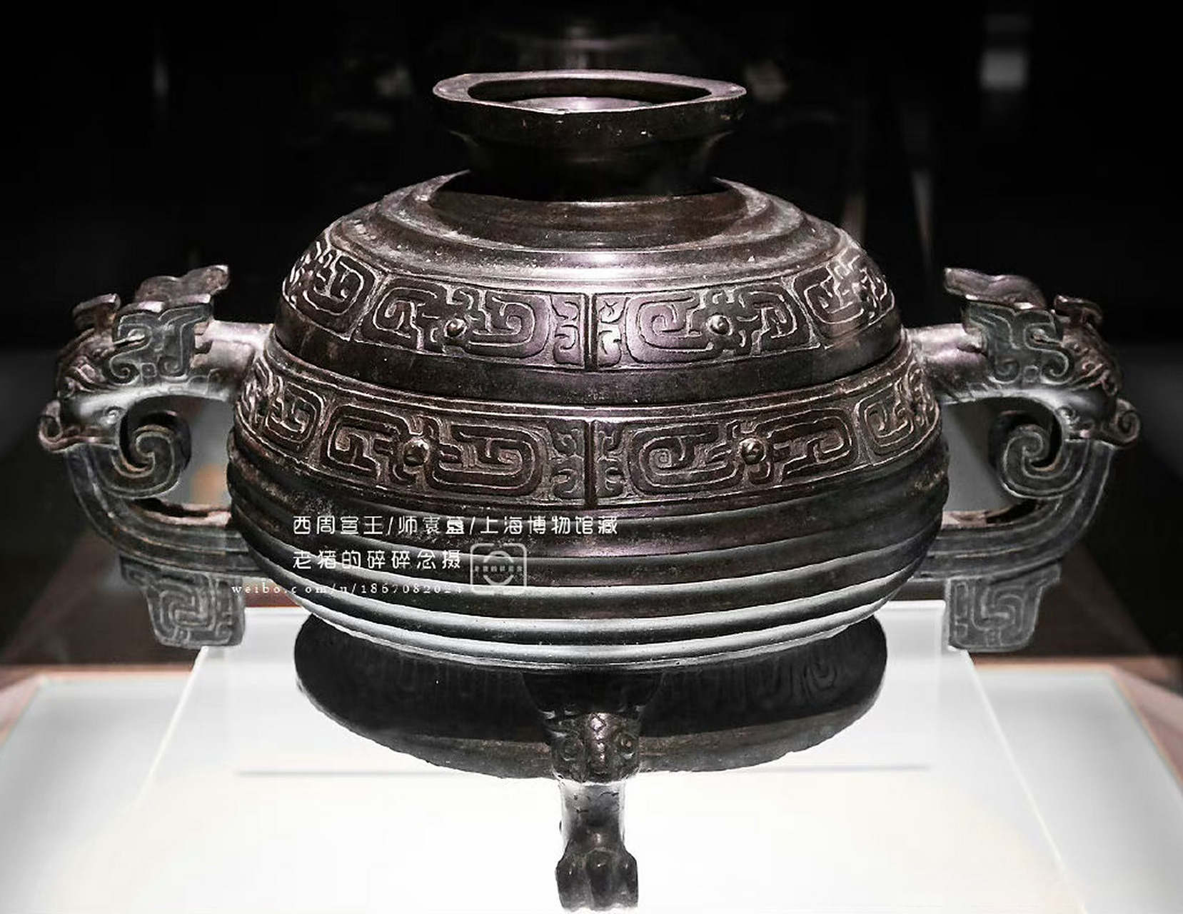 镜头中的古代文物|青铜簋
