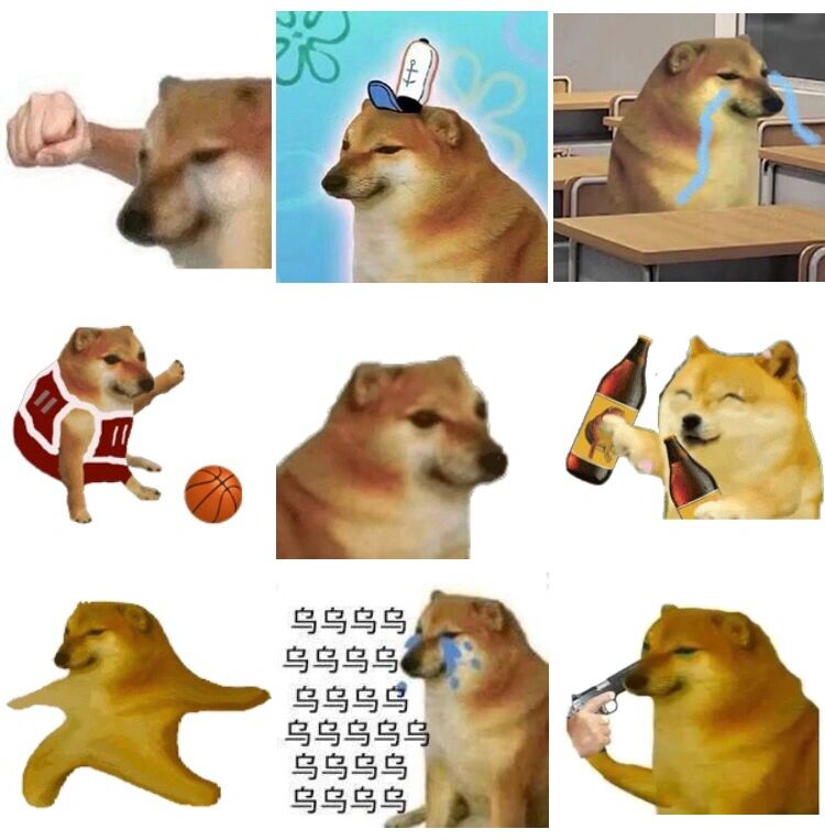 沙雕又可爱的柴犬动态表情包分享