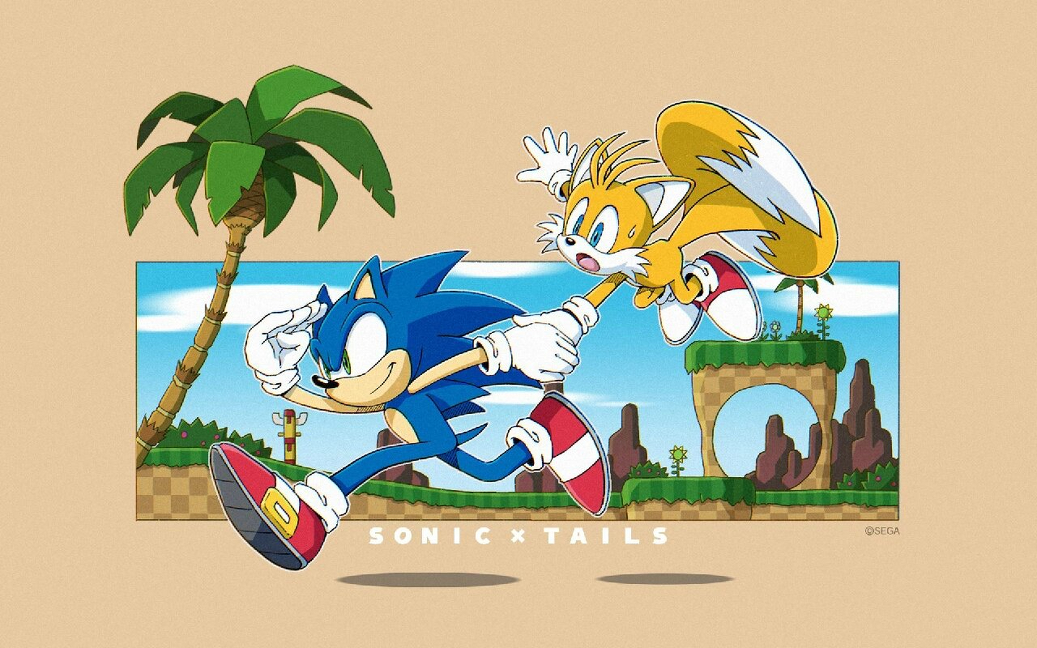 sega官网索尼克壁纸(1)