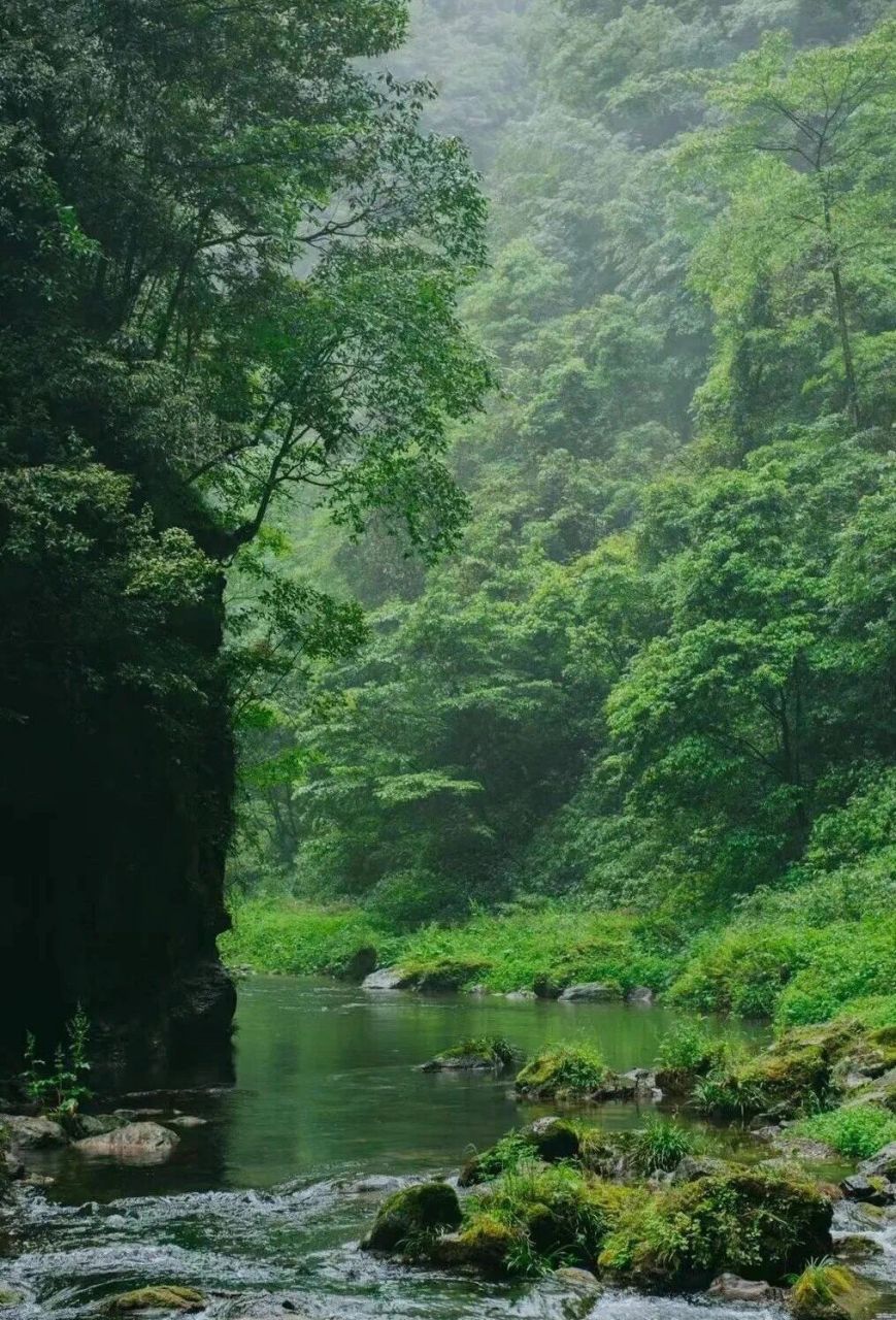 贵州省级风景之李白诗里的风景——紫江地缝  紫江地缝风景区位于开阳