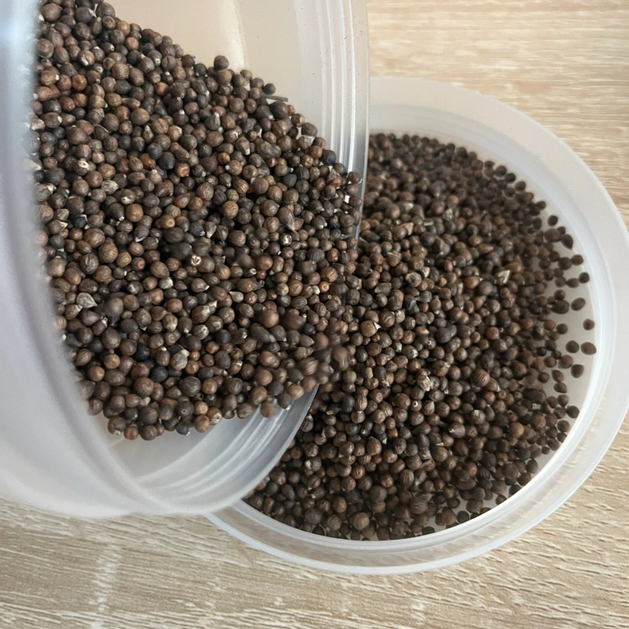 又便宜功效又多 布惊籽泡水:具有化痰止咳,除湿祛风,清热解毒,止喘行