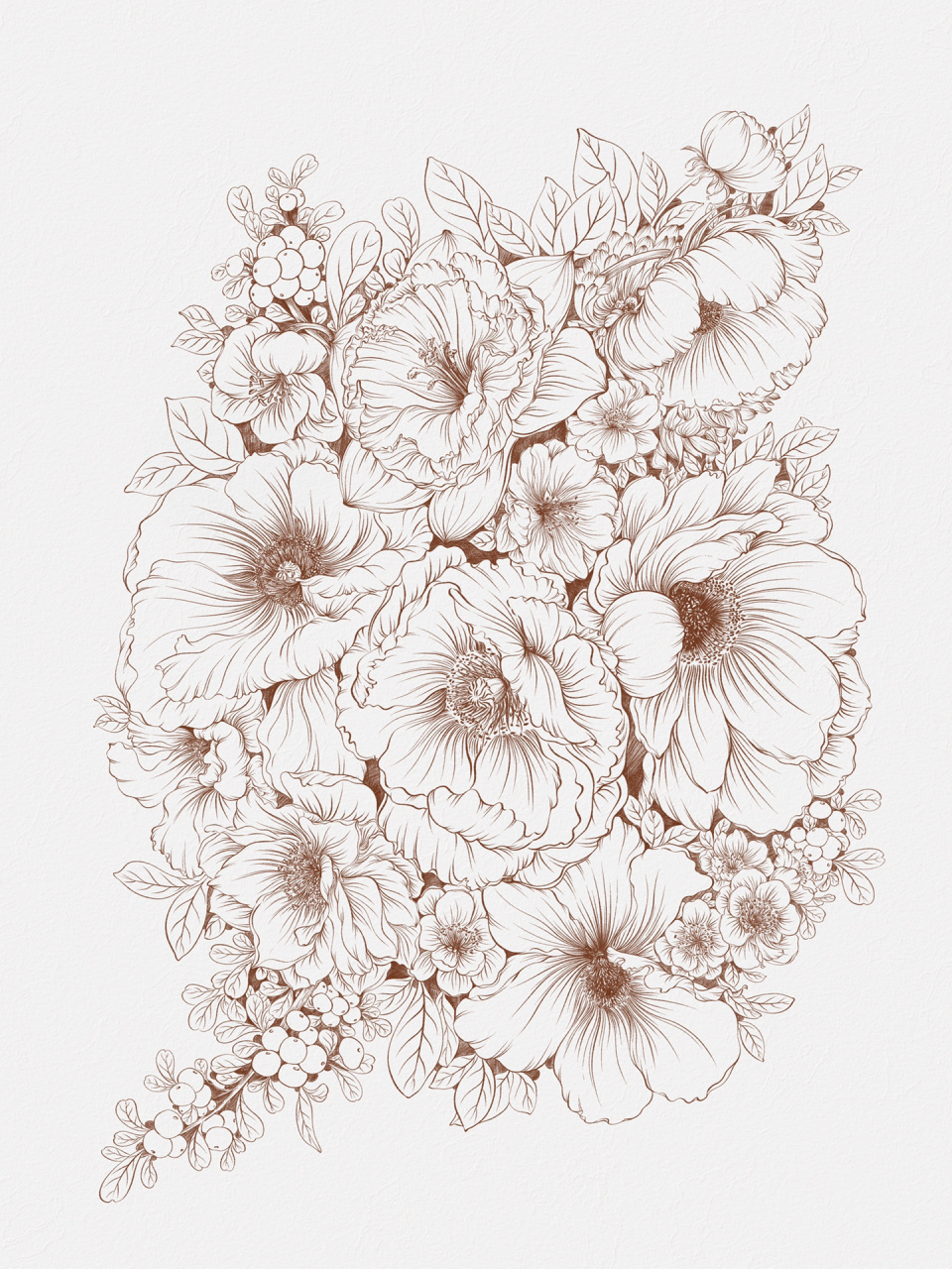 花卉线稿速写『原创』 线条永远是最灵动的.