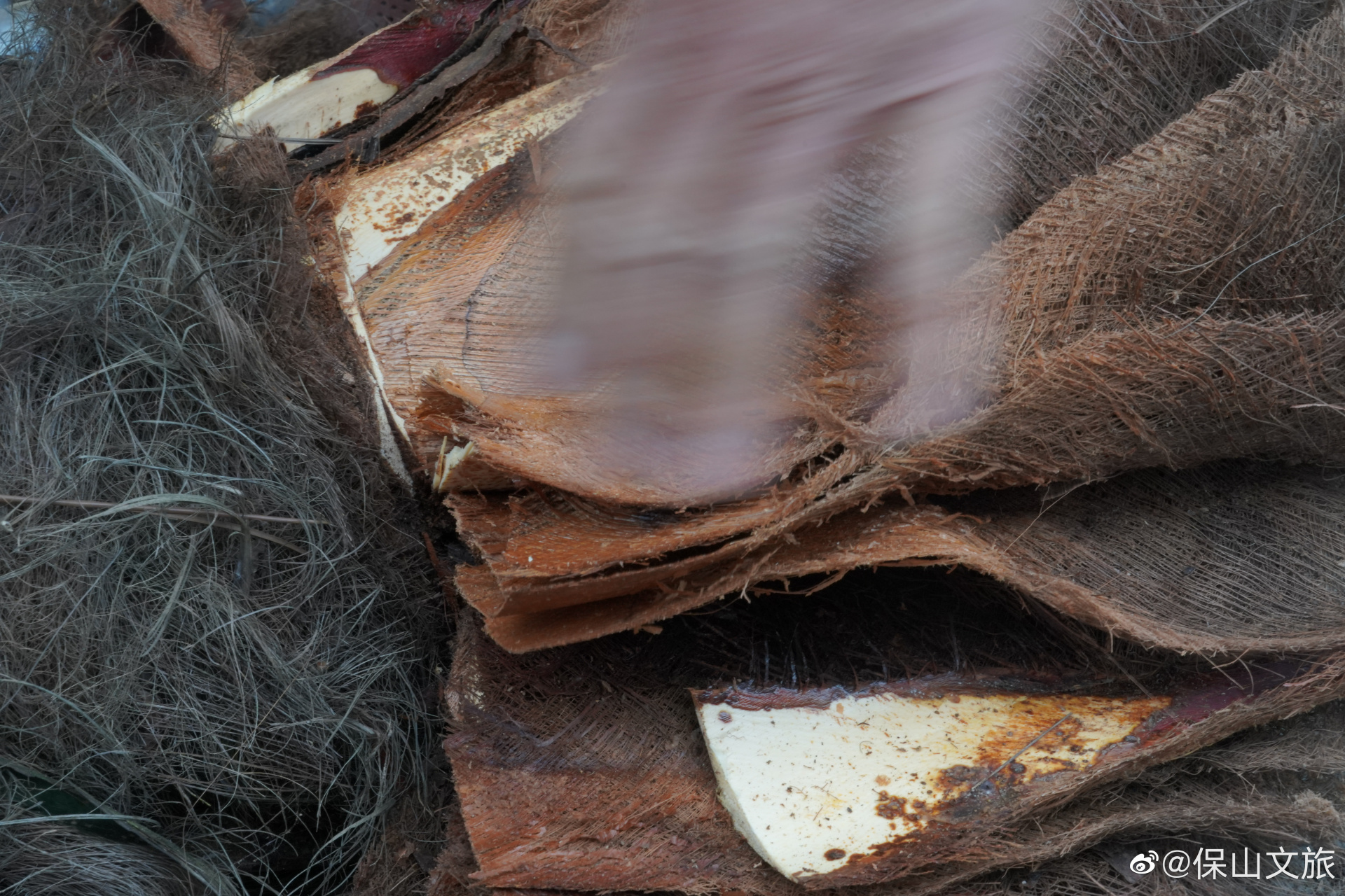 棕包头烀鸡"味道极妙,棕包头取自于腾冲特有的甜棕树尖芯拔出来的嫩茎