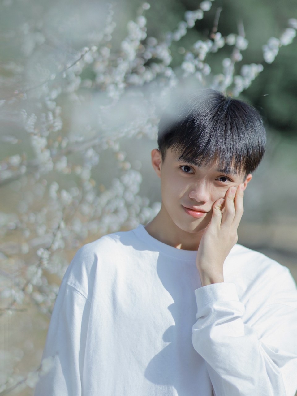 梅花树下94清新男生|少年感写真 本来想到的是张敬