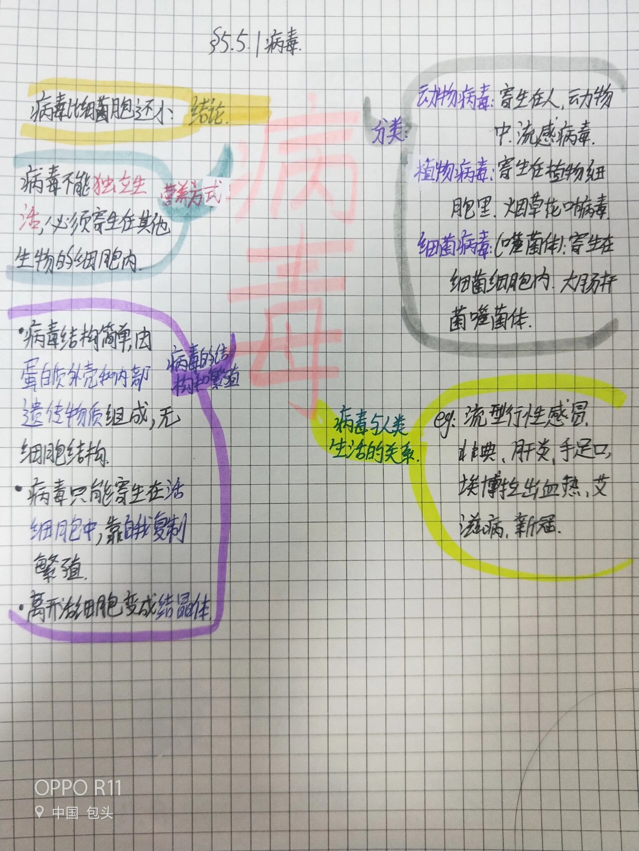 八年级上册生物第五单元第五章第一节《病毒》