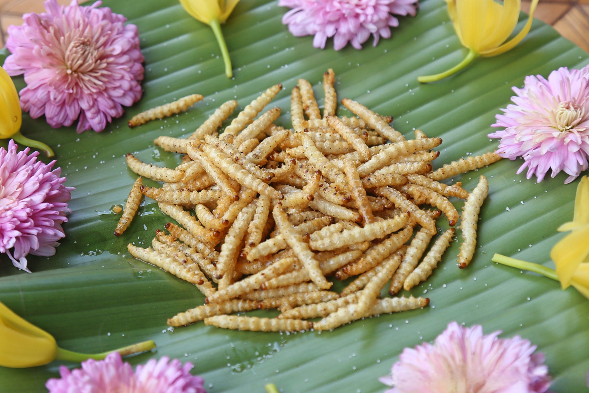 有一种叫云南的生活# 【有一种叫云南的生活 | 竹虫,来自腾冲竹林