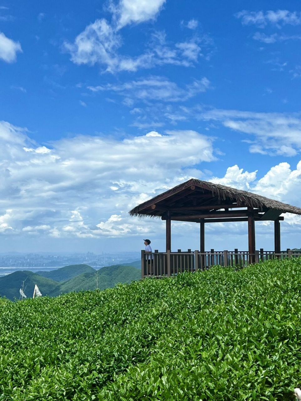 7215安顶山,位于富阳里山镇 20多分钟的盘山公路,开起来并不费力