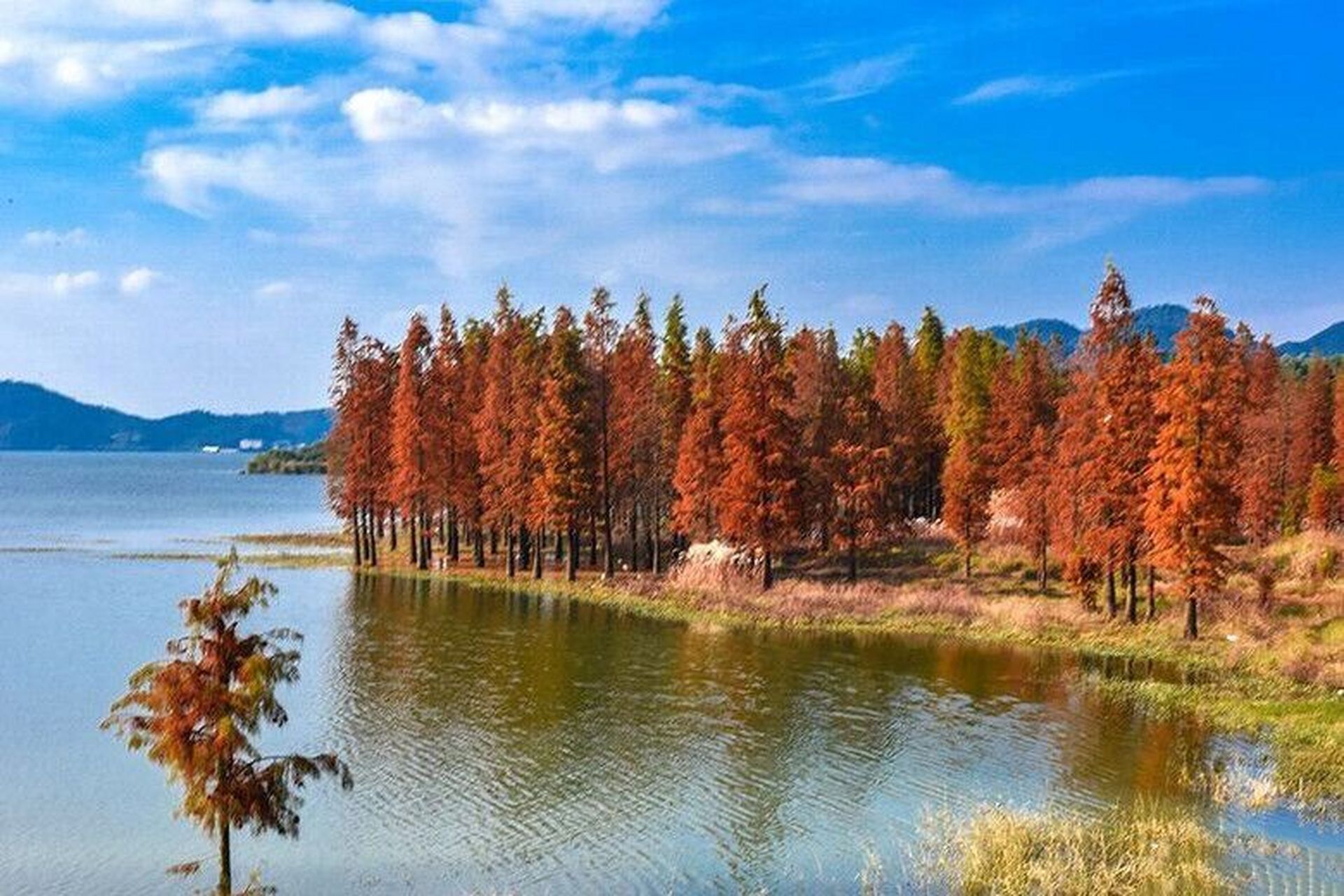 四明湖位于余姚千年文化古镇梁弄,四明山第九洞天境内,环湖皆山,七十