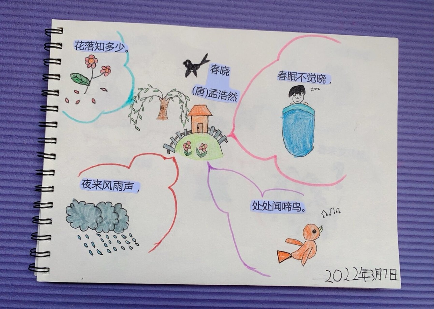 古诗思维导图—《春晓》