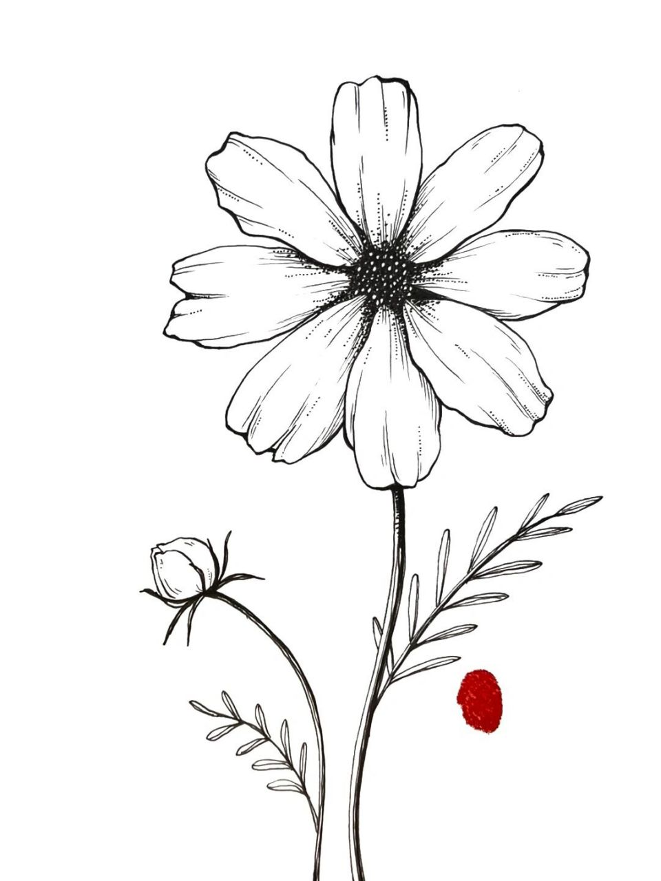 花卉手绘绘画步骤教程图|黑白插画 这种概括的打型方法能够又快又准的