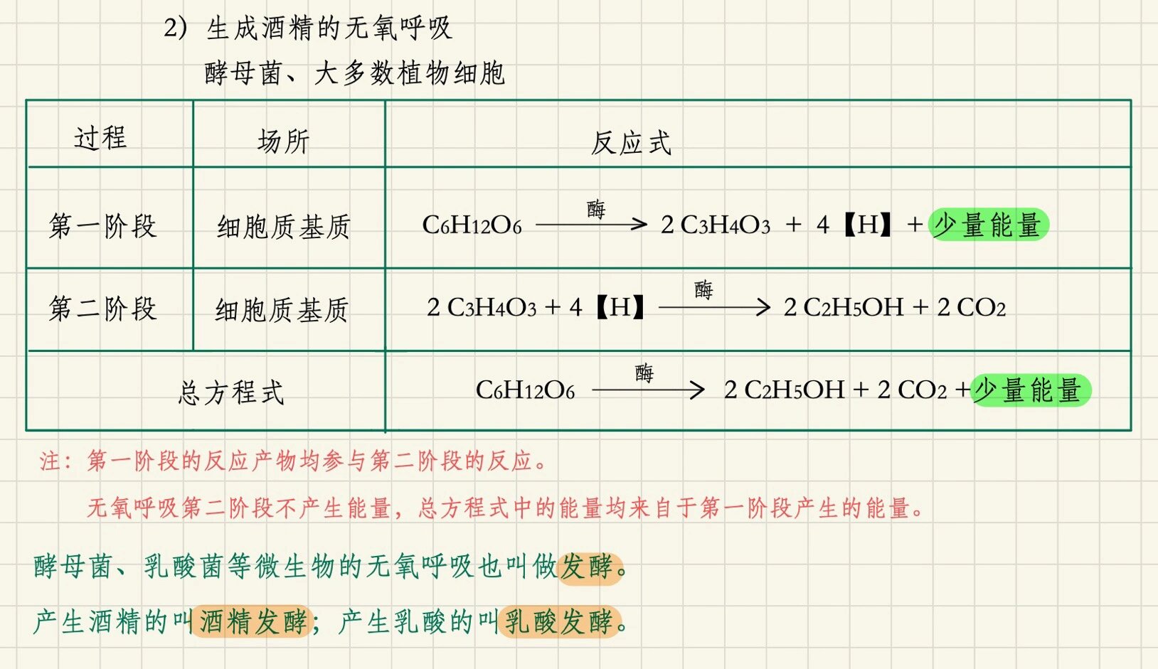 无氧呼吸之酒精发酵