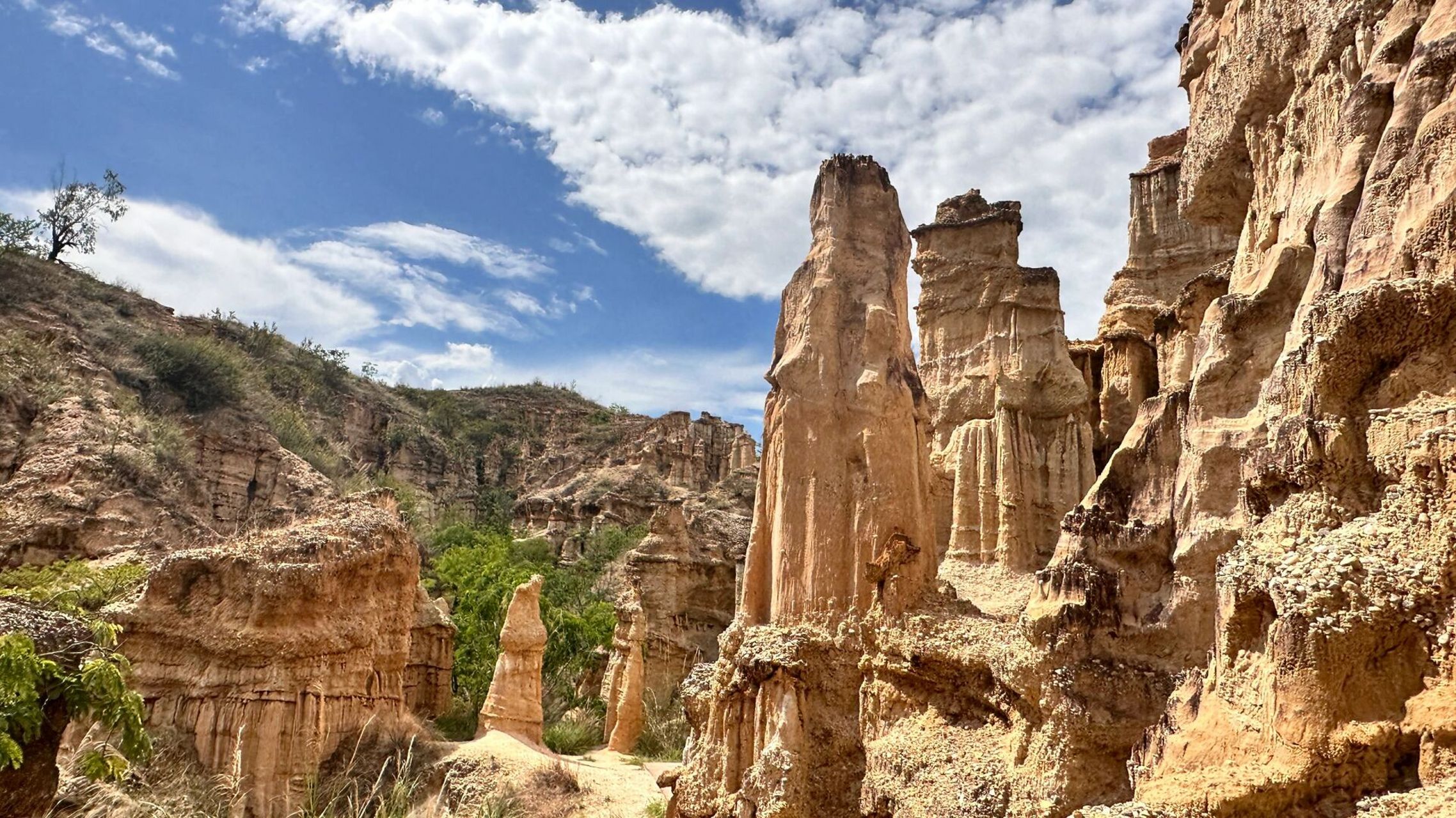 云南元谋土林 99云南省楚雄市元谋县 自然形成的喀斯特地貌土林