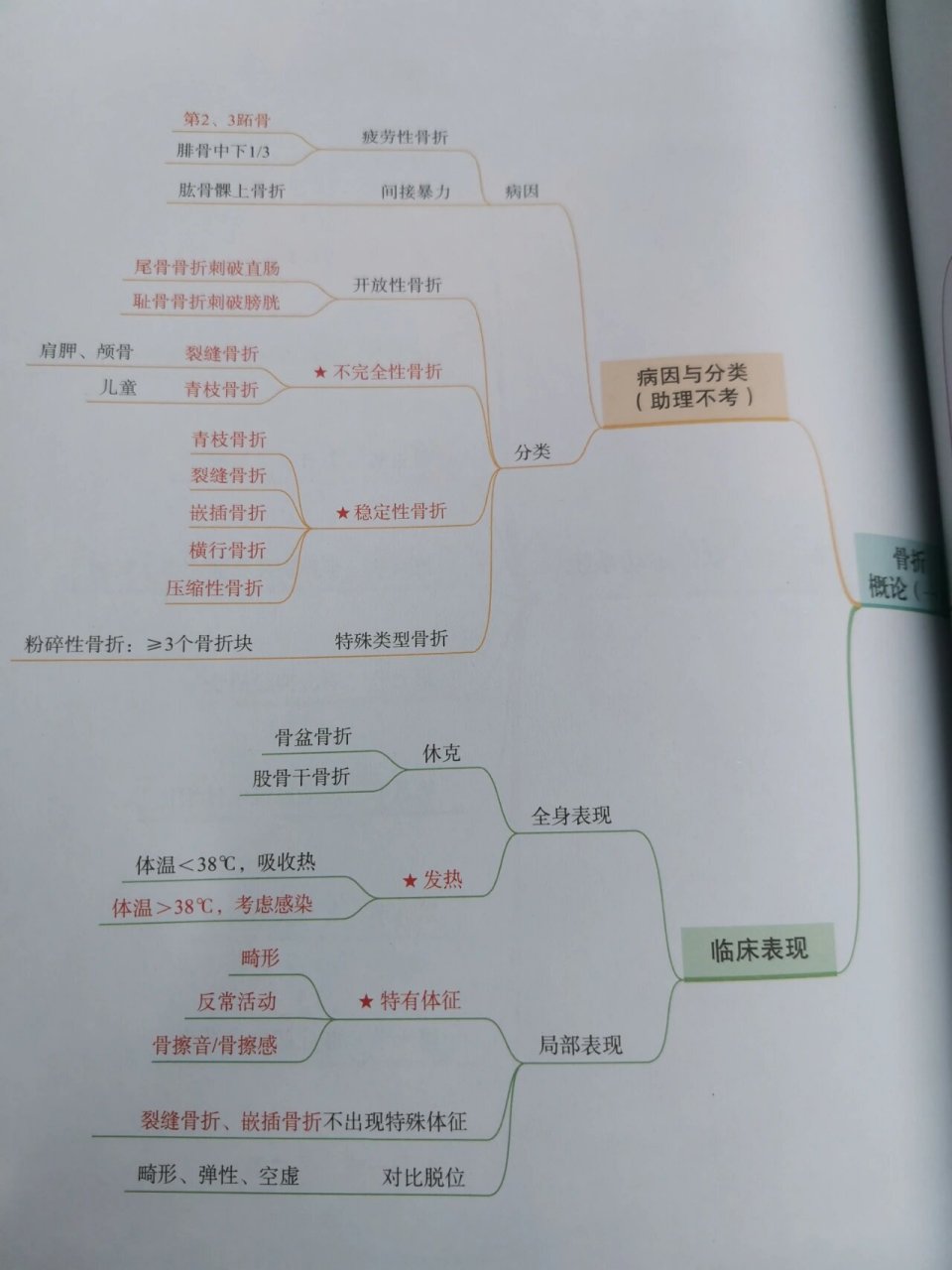 思维导图之运动系统(一) 过年了 新年快乐呀