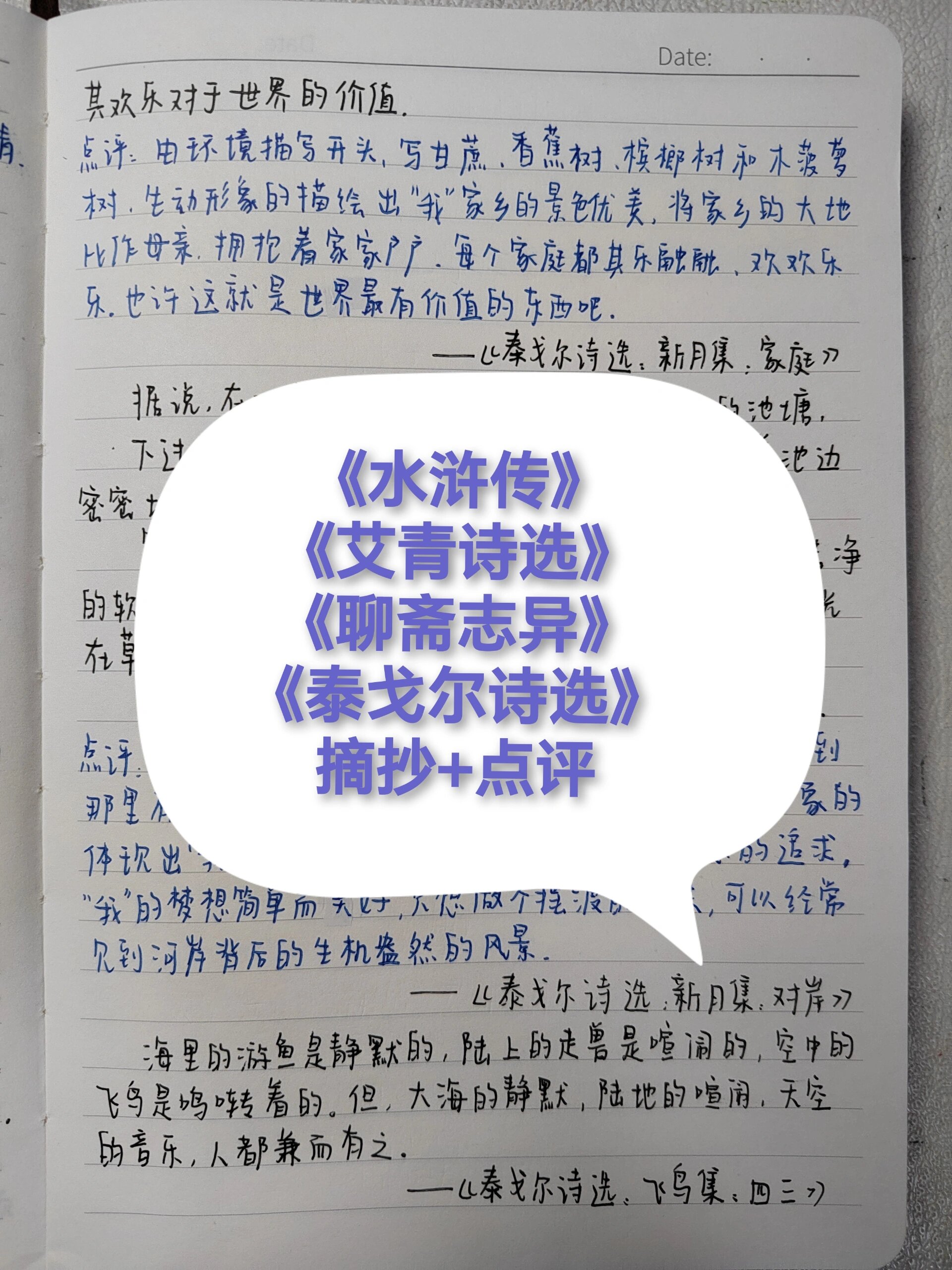 九上语文《水浒传》《艾青诗选》(水浒传和艾青诗选的文学文化常识题)