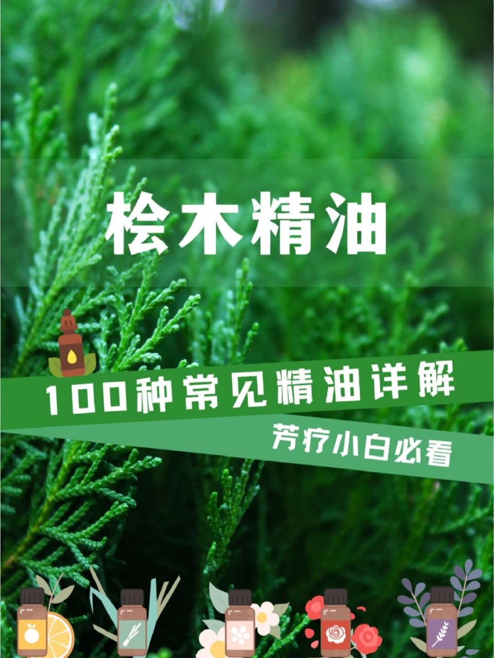 日本扁柏桧木精油,净化心灵促进毛发生长!