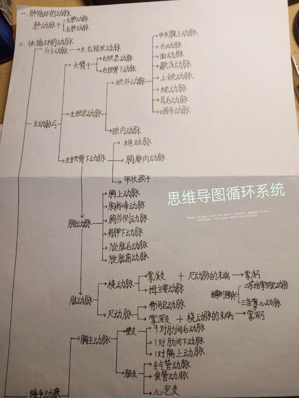 循环系统思维导图初中图片