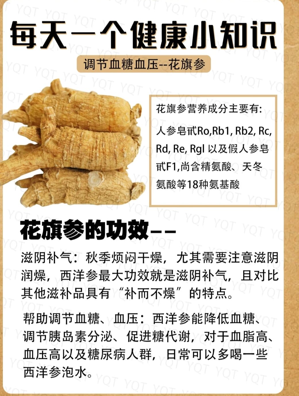 花旗参的功效与作用及食用方法 花旗参,又称西洋参,广东人参,属多年生
