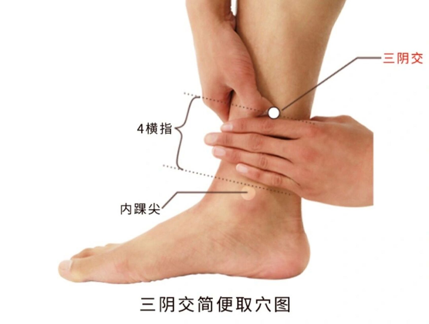 三阴交穴 健脾化湿,补益肝肾,调经止带 日常生活中经常按摩三阴交穴