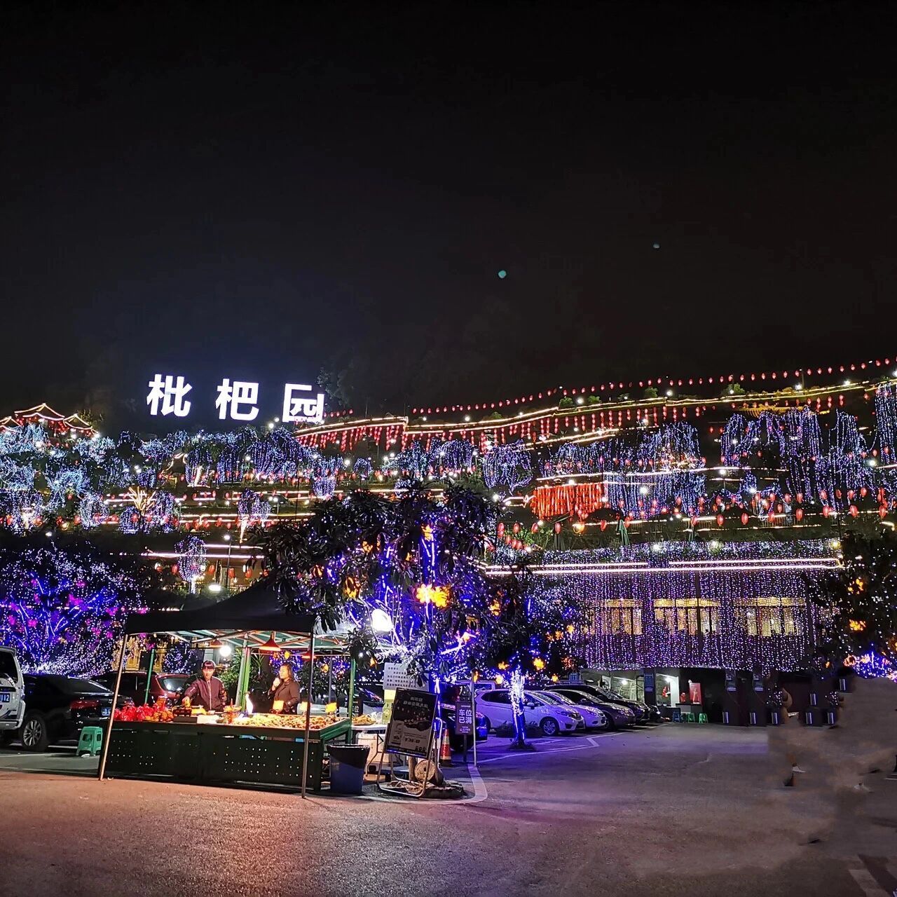 整座山都是吃火锅|重庆 枇杷园 也体验一把从整座山吃火锅92 晚上