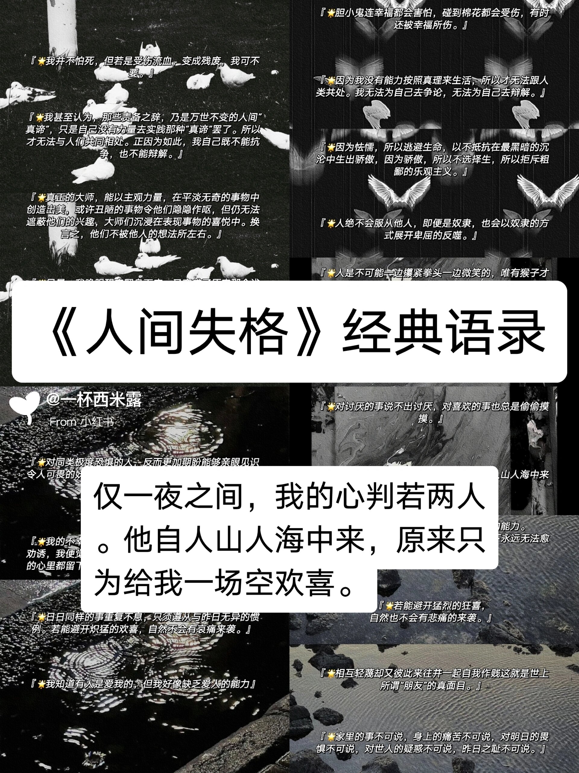 人间失格经典句子图片