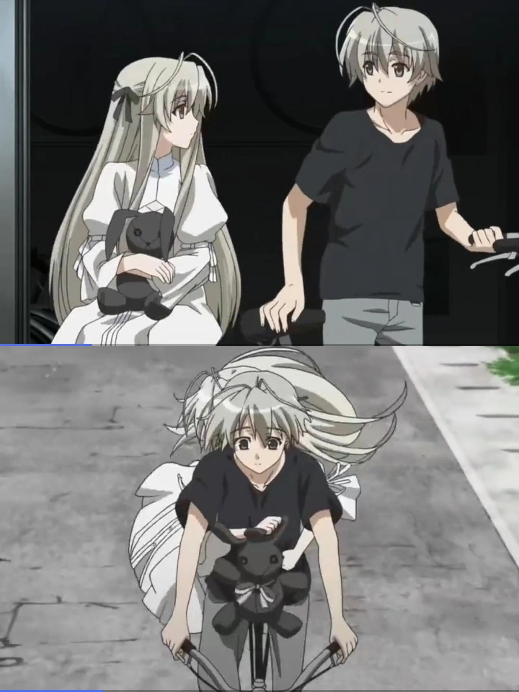 恋爱禁忌条例动漫