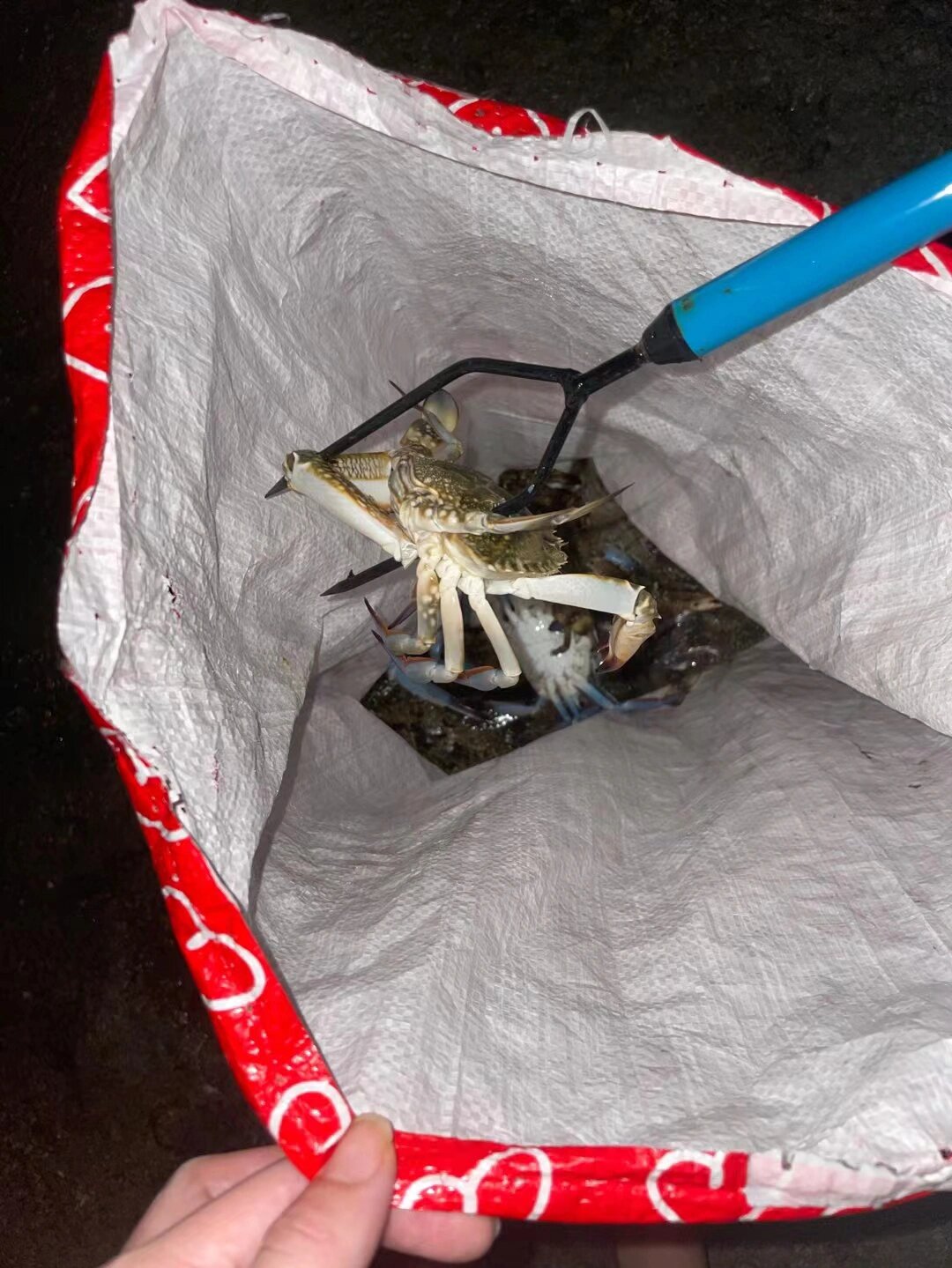 我有特殊的叉鱼技巧 首先,你得去海滩, 	 其次你得有鱼叉, 	 然后叉就