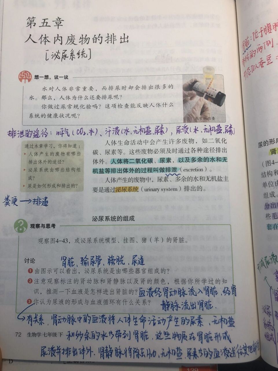 人教版 初中生物七下 人体内废物的排出 #备课# #手写笔记# #初中生物