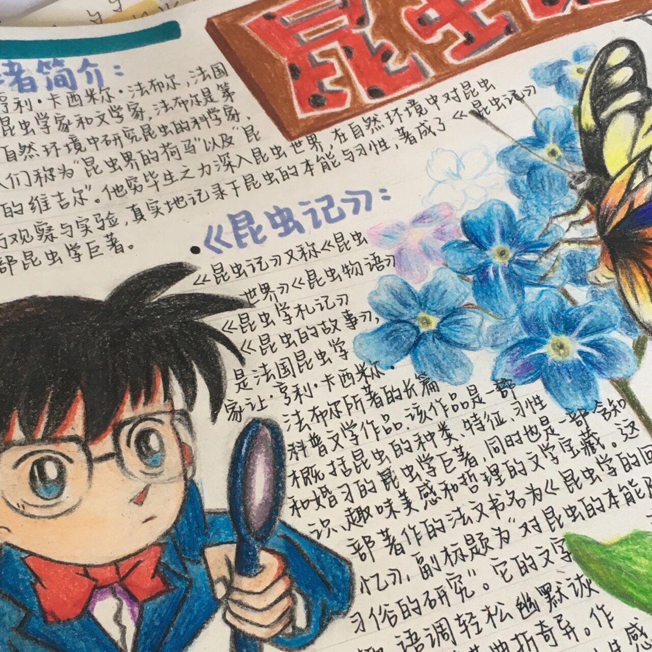 《昆虫记》手抄报 来交作业啦 画了差不多半天终于画完了,手都废了