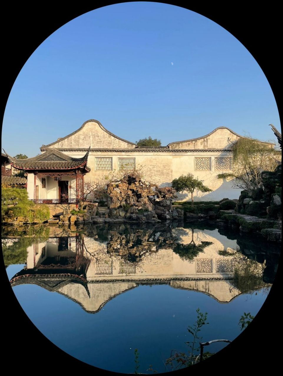 一些手机拍的园林光影图 #苏州旅行# #苏州园林# #园林景观# #传统